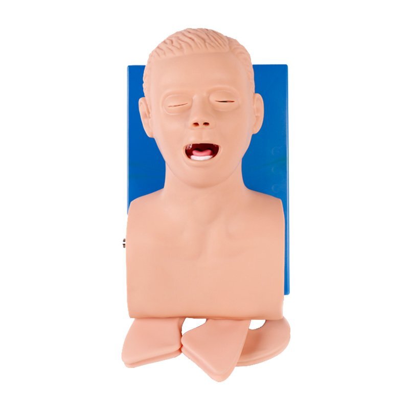 气管插管模型