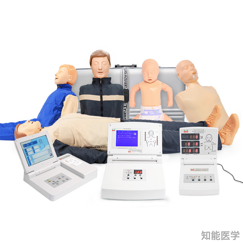 人体医学模型的类型
