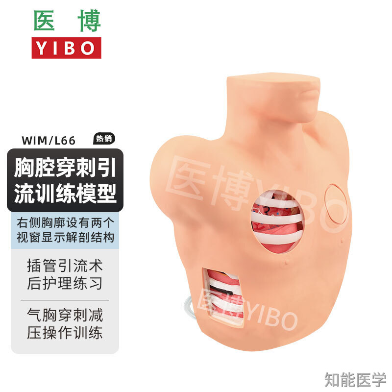 环甲膜穿刺模型的应用