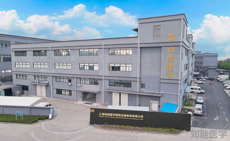 心肺复苏模拟人厂家排名