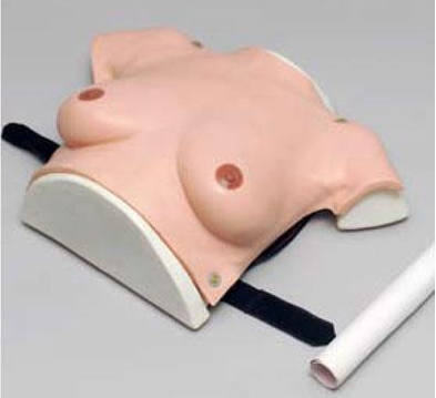 乳房检查模型的作用