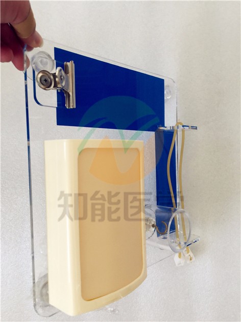 高级外科多技能训练模型（BIX-LF10）