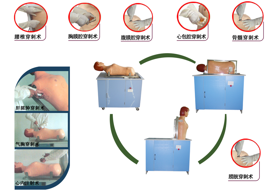 全自动多种穿刺叩诊电脑训练模型（BIX-C-II）
