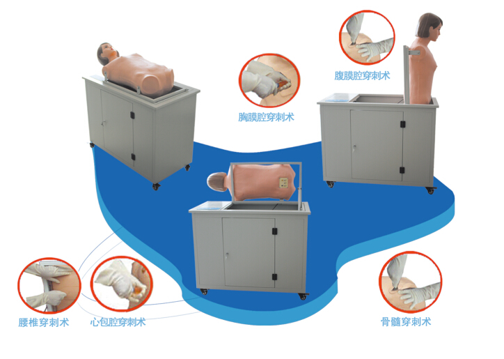 医用模拟人的应用领域