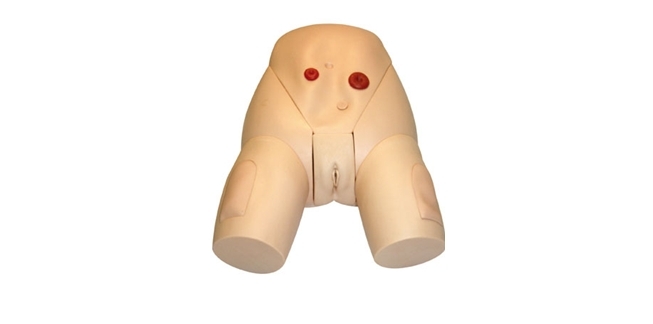 高级女性导尿模型（BIX/H70-3）